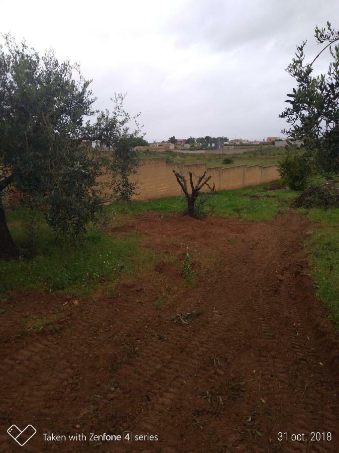 Villa Vacanze Giuseppe Mazara del Vallo Dış mekan fotoğraf